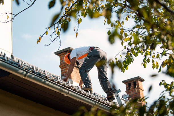 Residential Roof Replacement in Thayer, MO