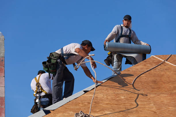 Best Storm Damage Roof Repair  in Thayer, MO
